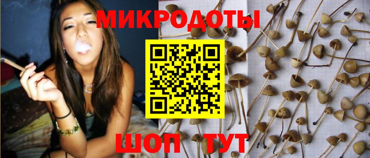 Галлюциногенные грибы GOLDEN TEACHER Приморско-Ахтарск