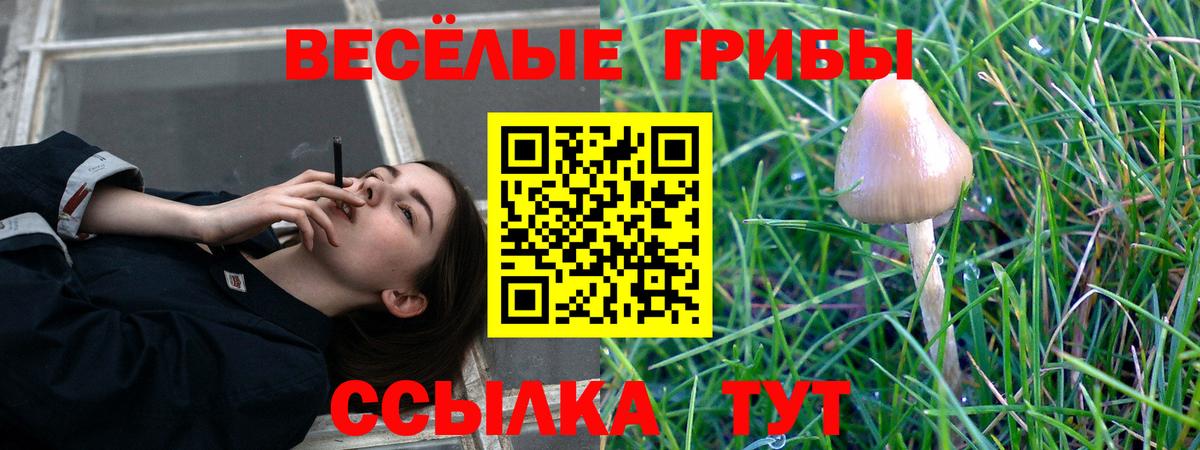 Приморско-Ахтарск  Галлюциногенные грибы ЛСД  Вход с VPN 