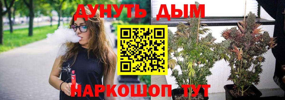 Конопля сатива  МАРИХУАНА семена  Вход с VPN  Приморско-Ахтарск  Шишки марихуана планчик 